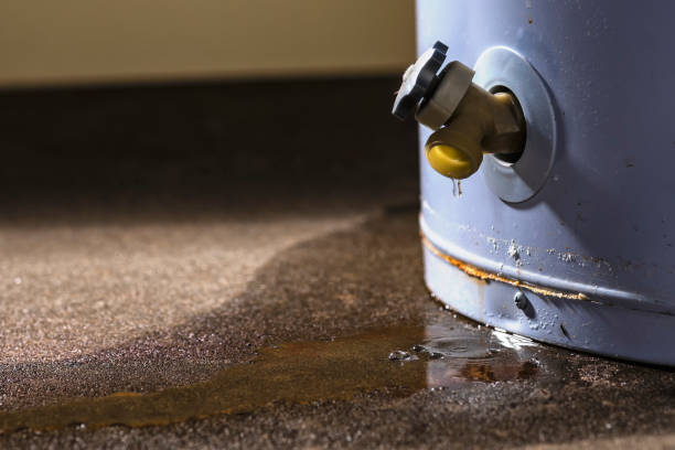 Best Sewage cleanup and water damage restoration  in Monrovia, MD