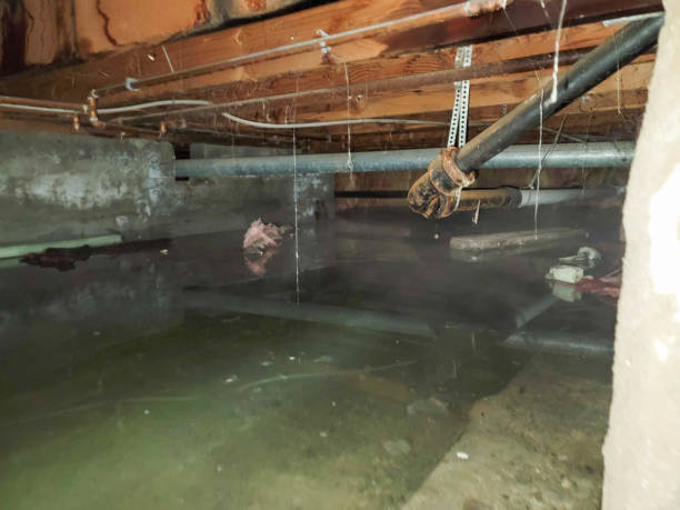 Best 24/7 water damage repair  in Monrovia, MD