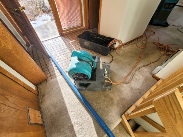 Best Flooded house restoration  in Monrovia, MD