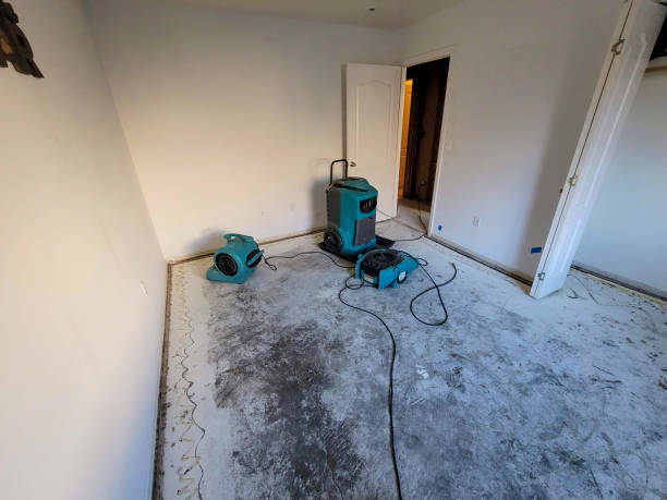 Professional Water damage restoration in Monrovia, MD