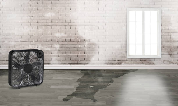 Best Flood restoration services  in Monrovia, MD