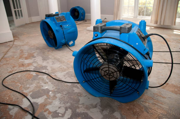 Best Flooded house restoration  in Monrovia, MD