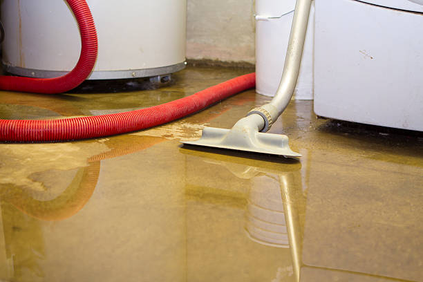 Best Water damage restoration specialists  in Monrovia, MD
