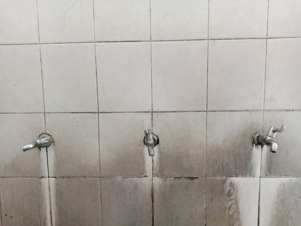 Best Carpet water damage restoration  in Monrovia, MD