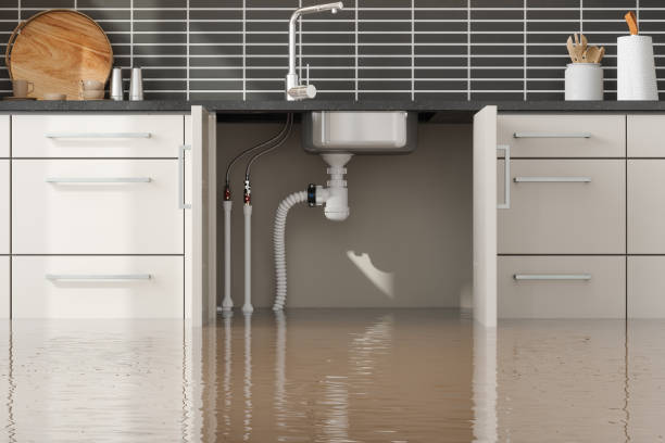 Best Water damage restoration cost  in Monrovia, MD
