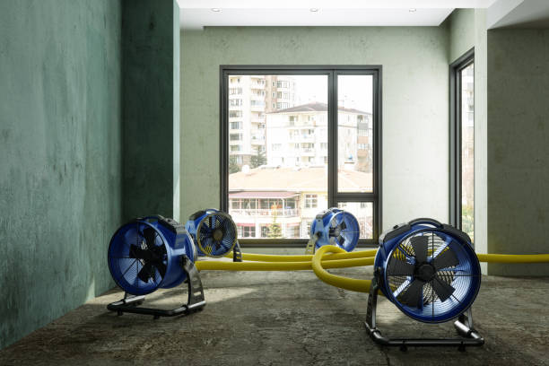Best Water damage contractors near me  in Monrovia, MD