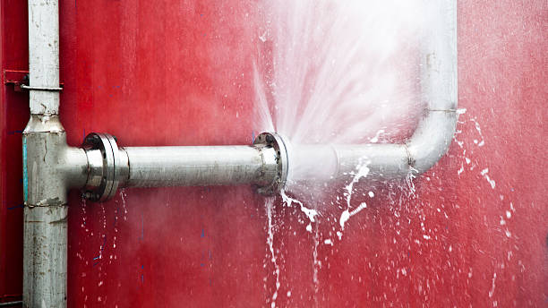 Best Water damage cleanup near me  in Monrovia, MD