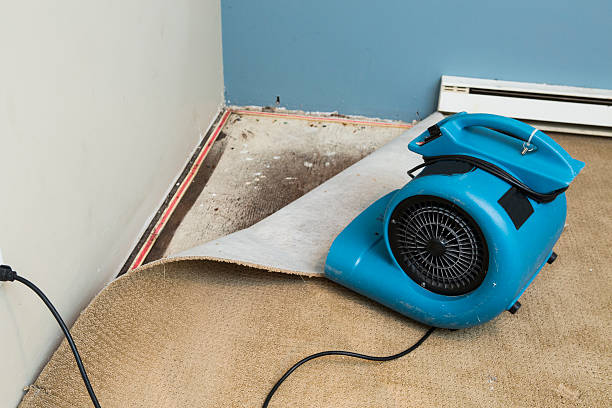 Best Residential water damage restoration  in Monrovia, MD